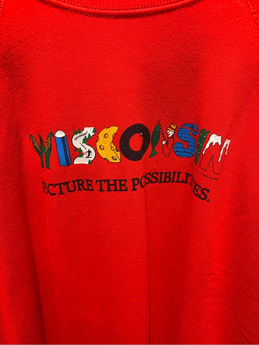 Vintage Wisconsin souvenir sweatshirt